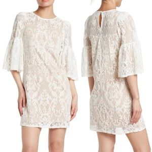 Quarter Wide Sleeve Lace Dress